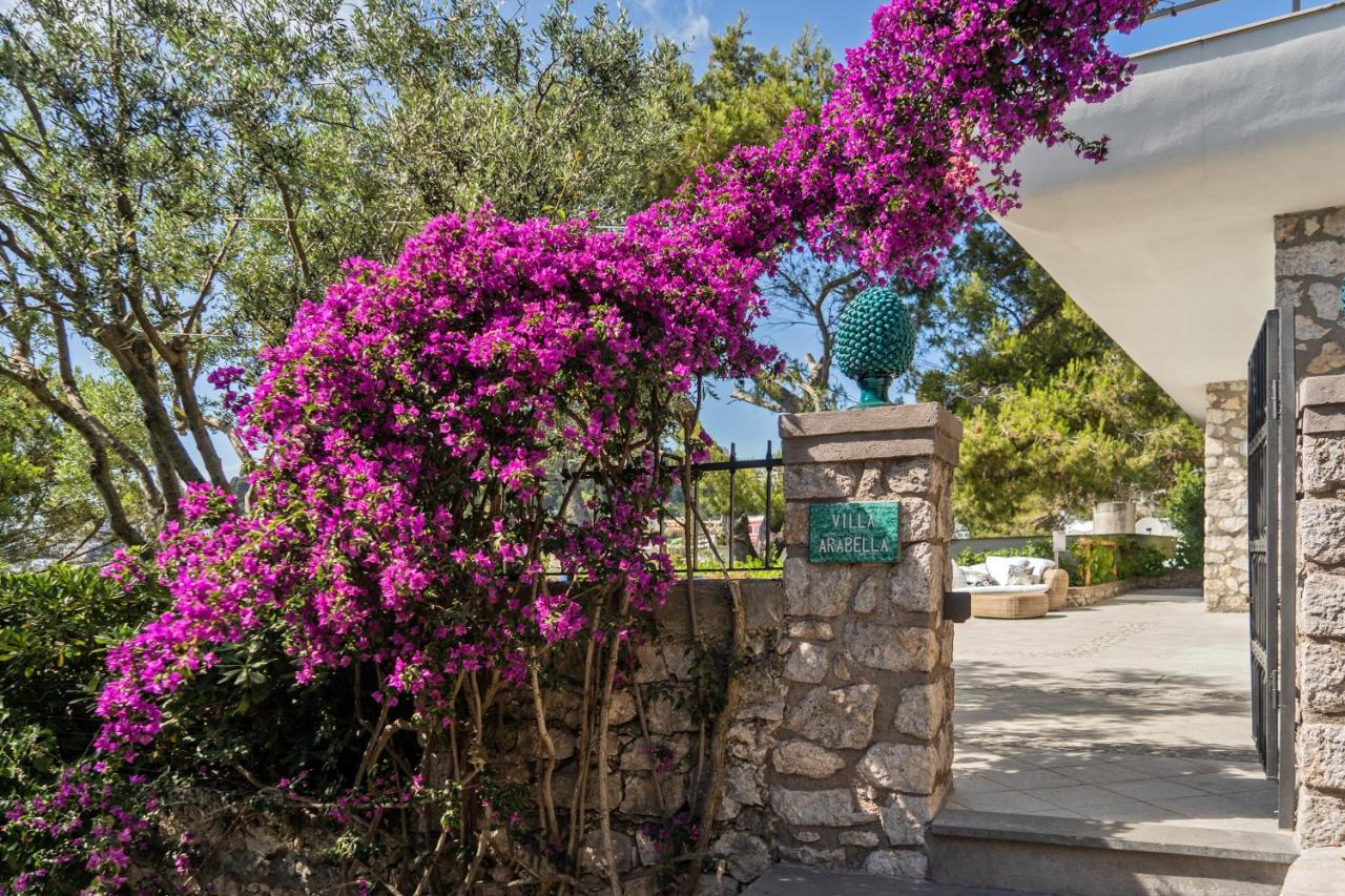 Villa Arabella Capri Exteriör bild